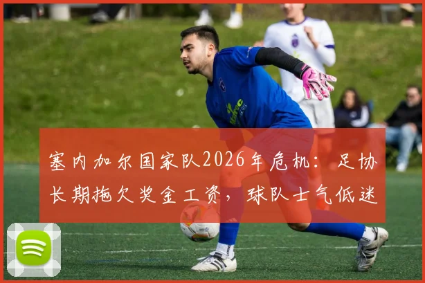 塞内加尔国家队2026年危机：足协长期拖欠奖金工资，球队士气低迷何去何从
